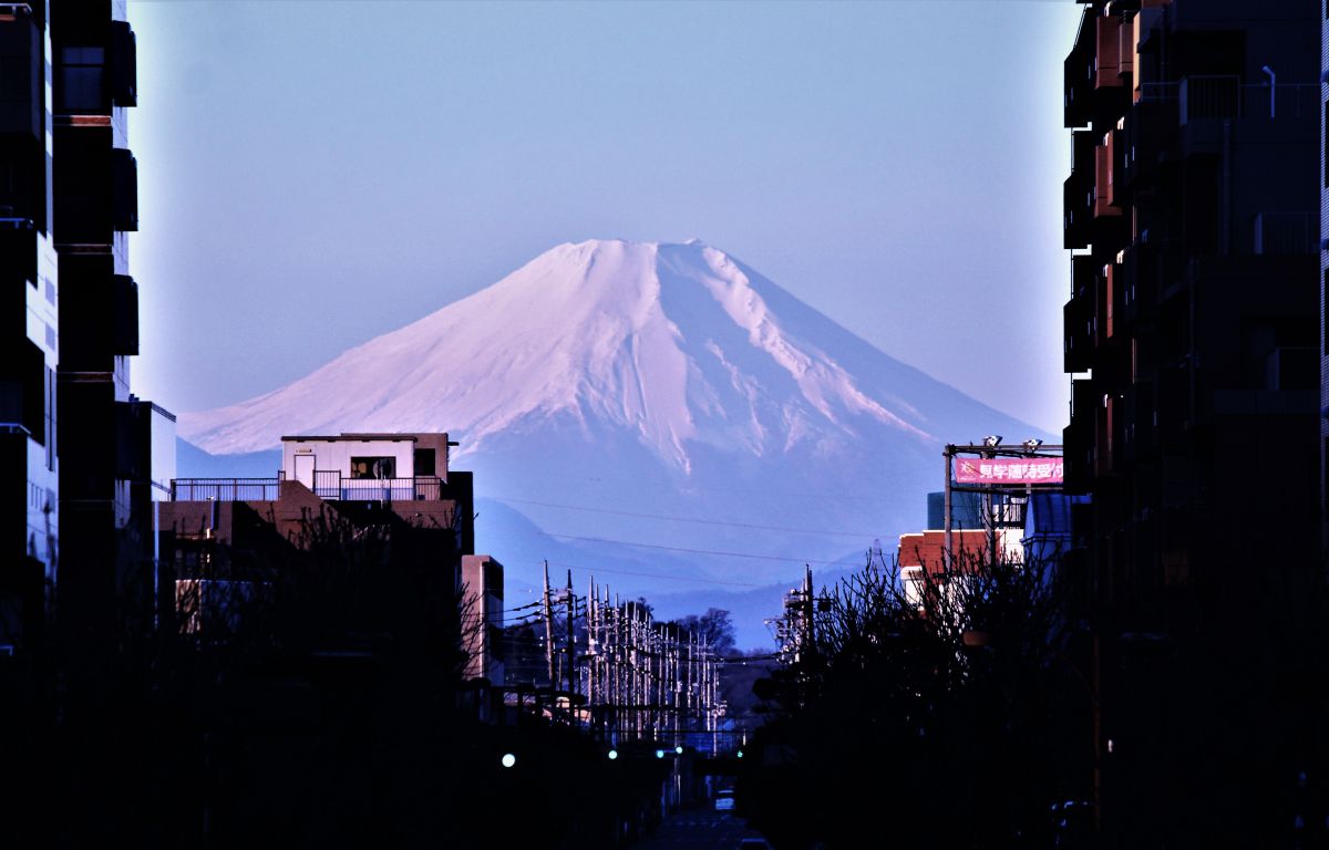 EF-S55-250mm F4-5.6 IS IIで撮影された写真 | 写真検索 | GANREF