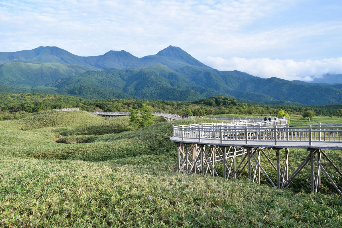 AF-S DX NIKKOR 55-200mm f/4-5.6G ED VR II | GANREF