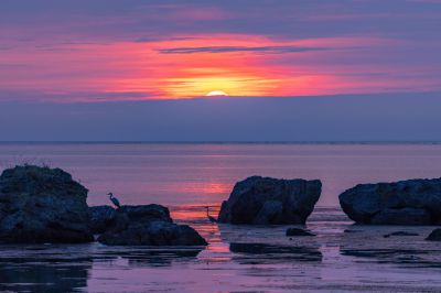 海に関する写真 | 写真 | GANREF