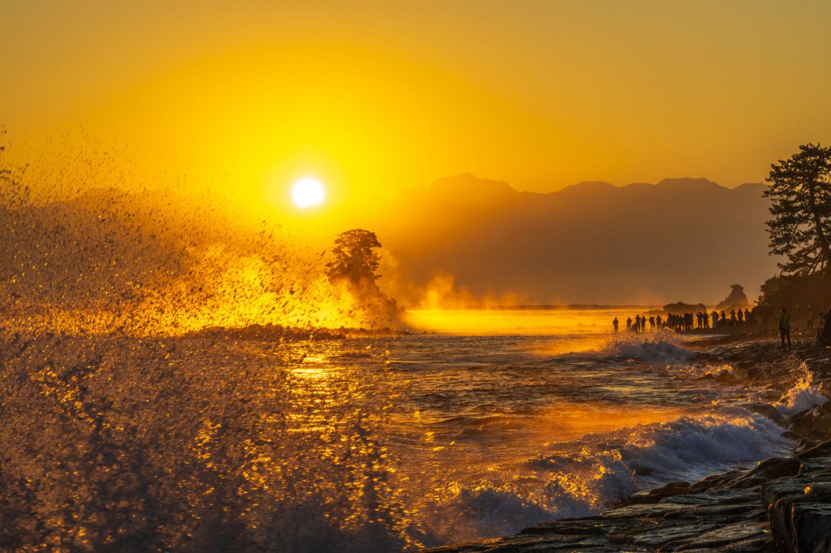 EOS R6 Mark IIで撮影された写真 | 写真検索 | GANREF