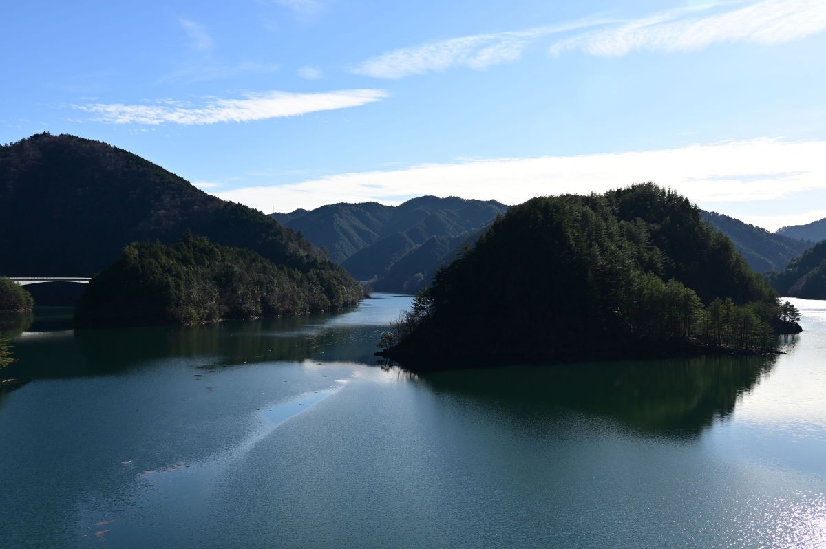 ダム湖島 GANREF