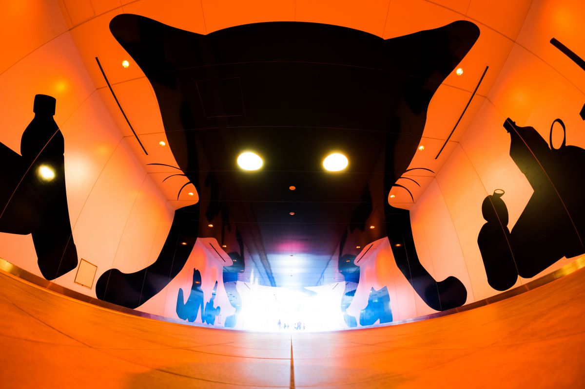 8mm F2.8 UMC FISH-EYE IIで撮影された写真 | 写真検索 | GANREF