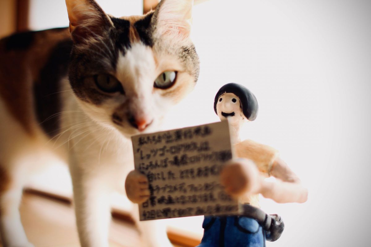 猫と紙人形 物 雑貨 その他 Ganref