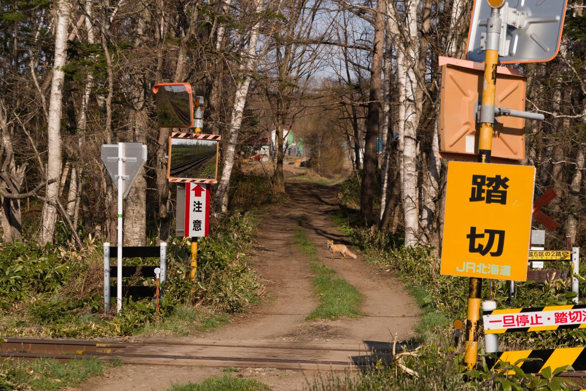踏切の向こうに 乗り物 交通 鉄道 駅 Ganref