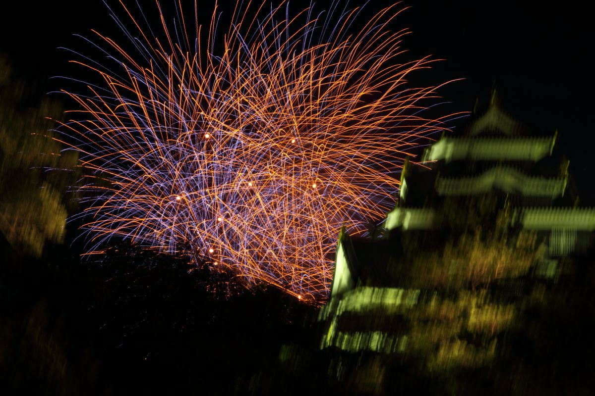 タムロンレンズレビュー♯15】VC（手ぶれ補正）の誤作動 | GANREF