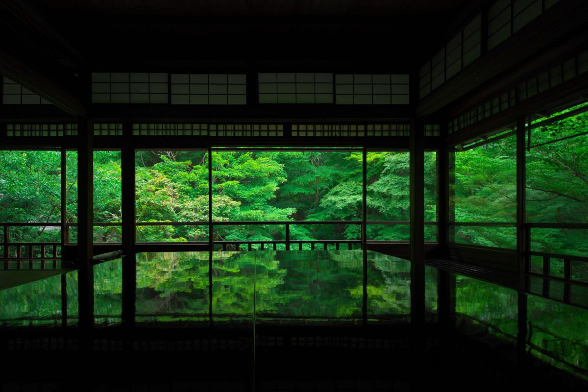 瑠璃光院の青紅葉 街並み 建物 神社 寺 教会 Ganref