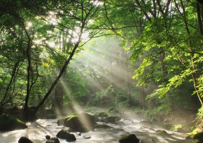 秋山郷 秋山郷 里山の錦秋 | GANREF
