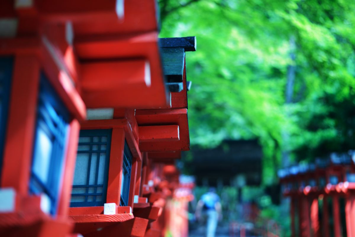 Ai AF Zoom Nikkor 35-105mm F3.5-4.5D（IF）で撮影された写真 | 写真 
