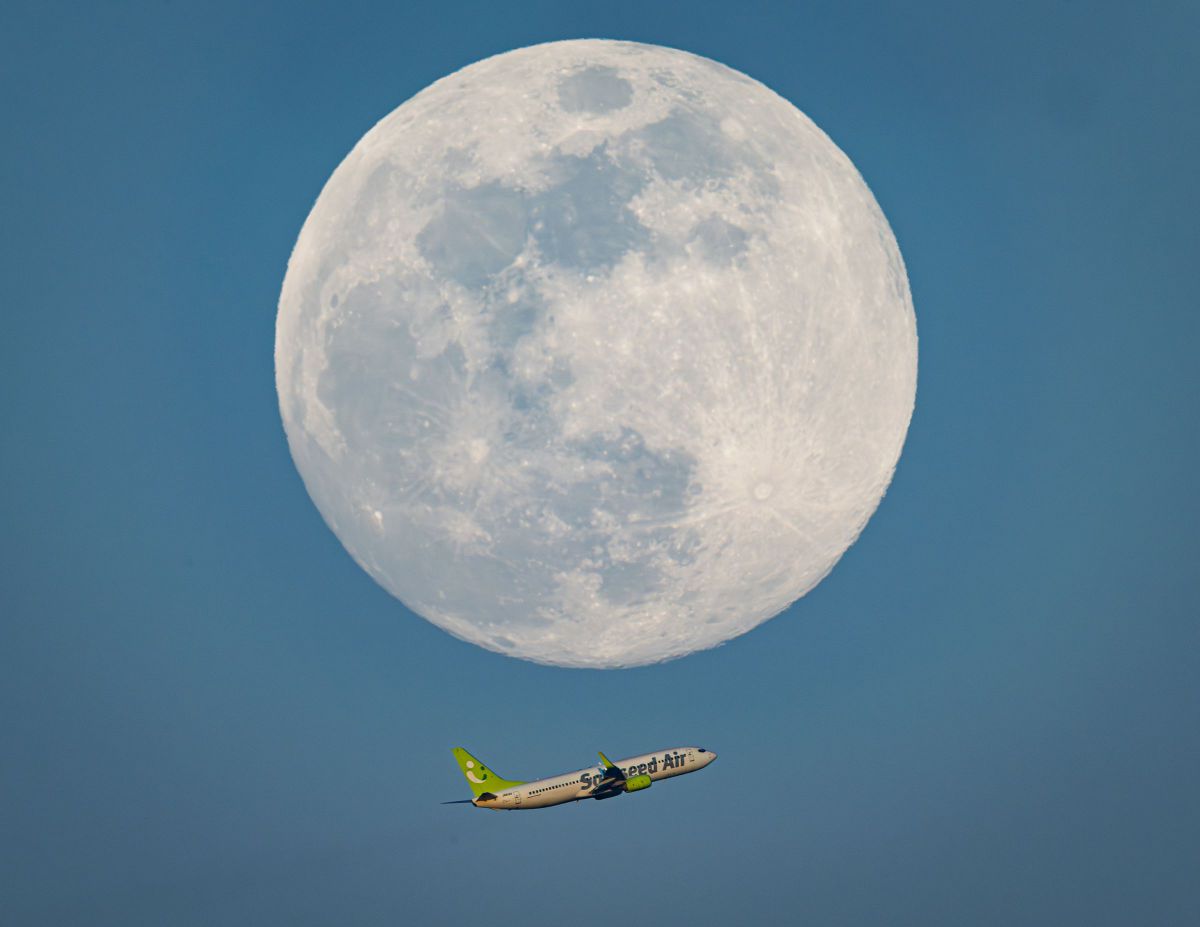 NIKKOR Z 600mm f/4 TC VR Sで撮影された写真 | 写真検索 | GANREF