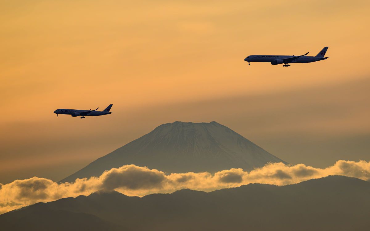NIKKOR Z 600mm f/4 TC VR Sで撮影された写真 | 写真検索 | GANREF
