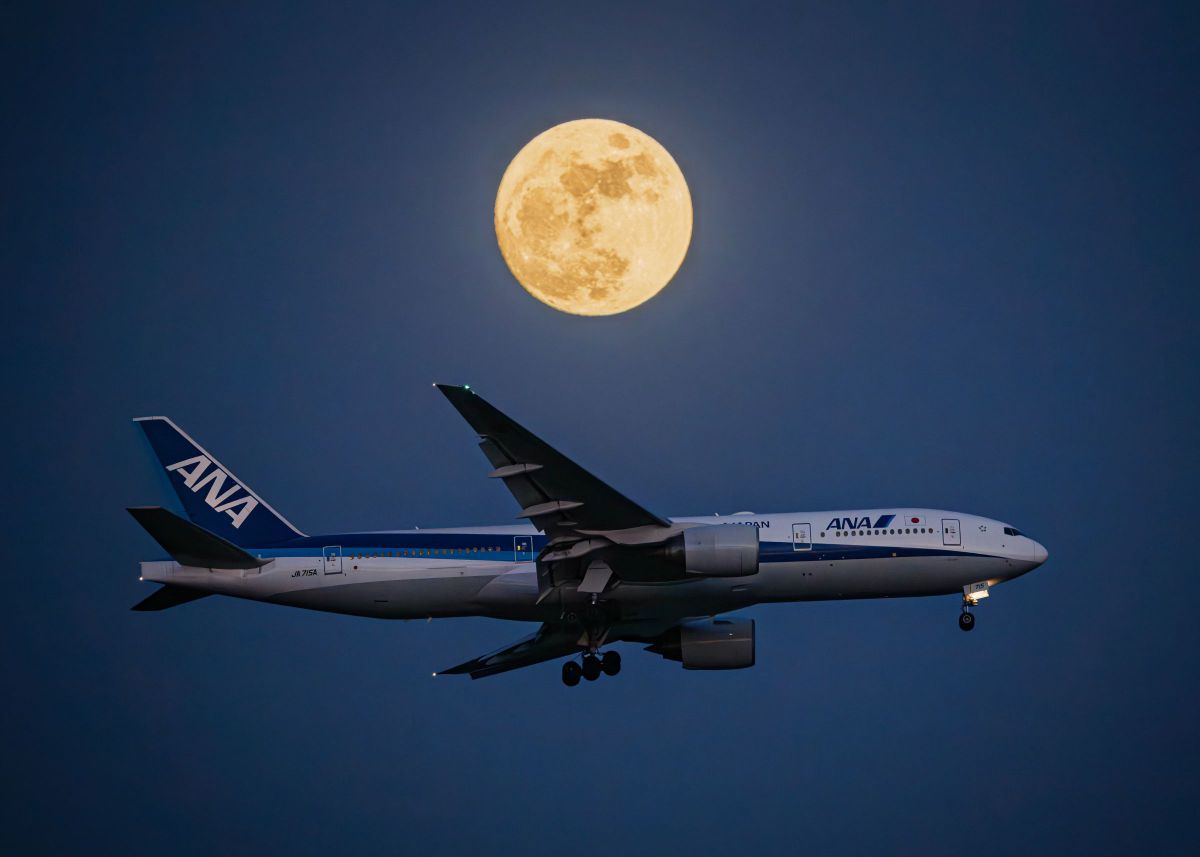 NIKKOR Z 600mm f/4 TC VR Sで撮影された写真 | 写真検索 | GANREF
