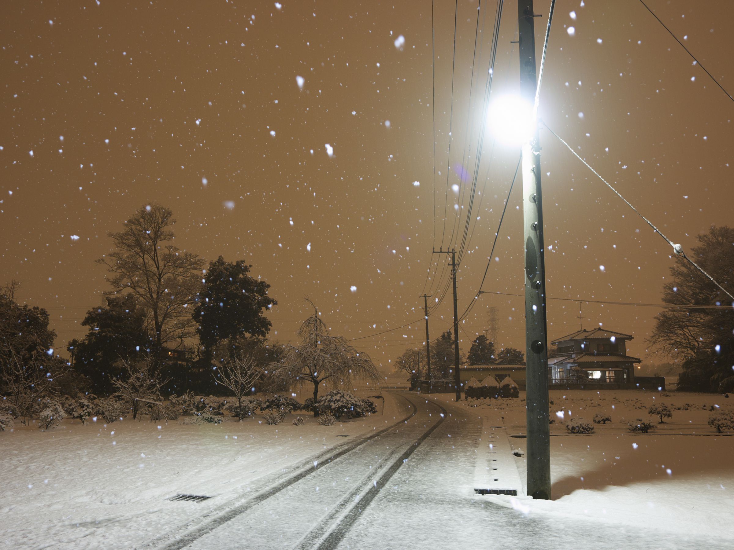 夜に降る雪