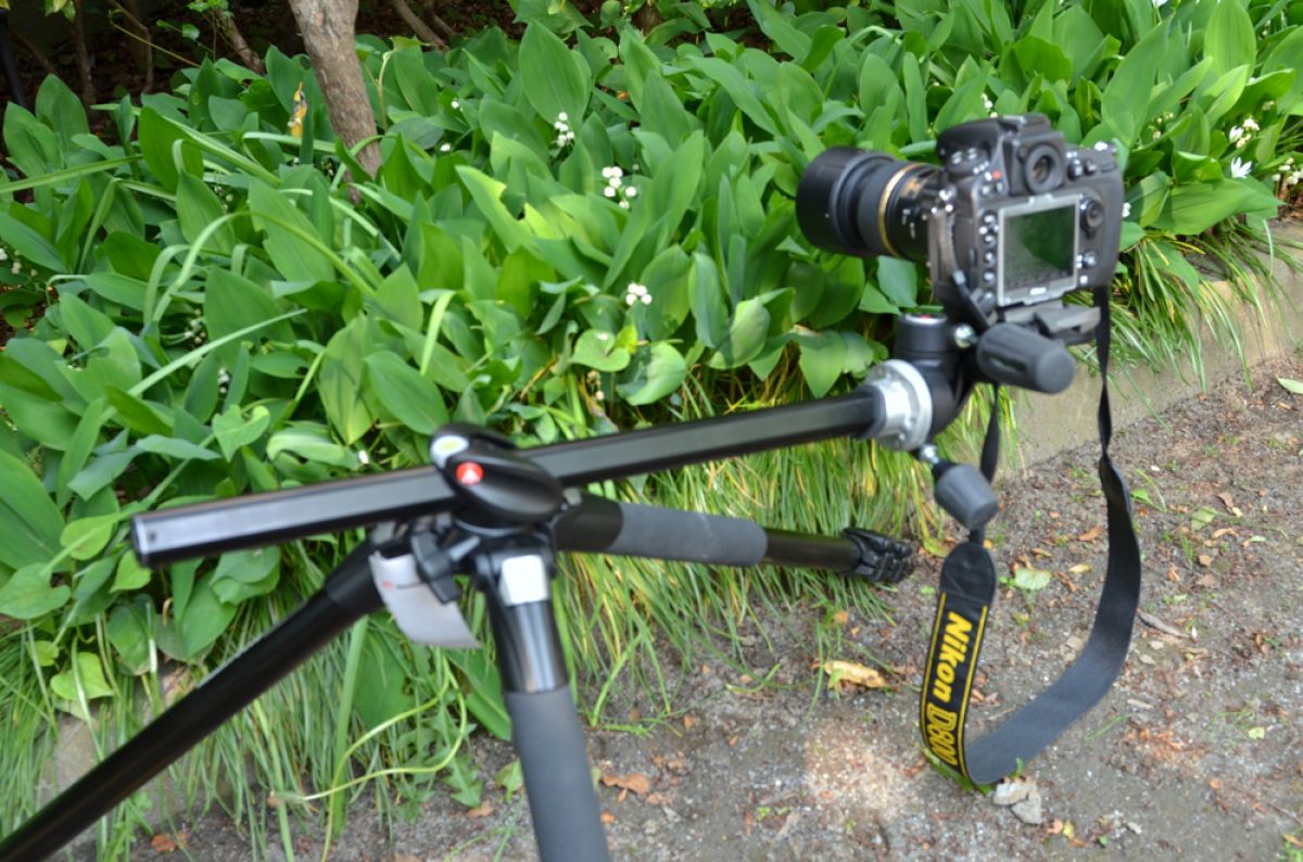 ラク　ニコン　NICON D800 ￼￼￼ Amazon | Nikon デジタル一眼レフカメラ D800 ボディー D800