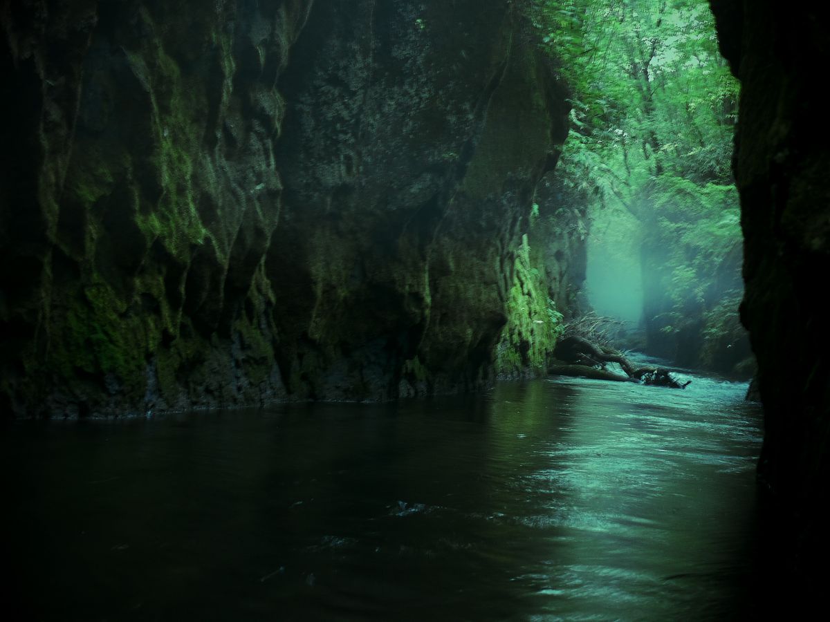 神秘の泉 自然 風景 森林 Ganref