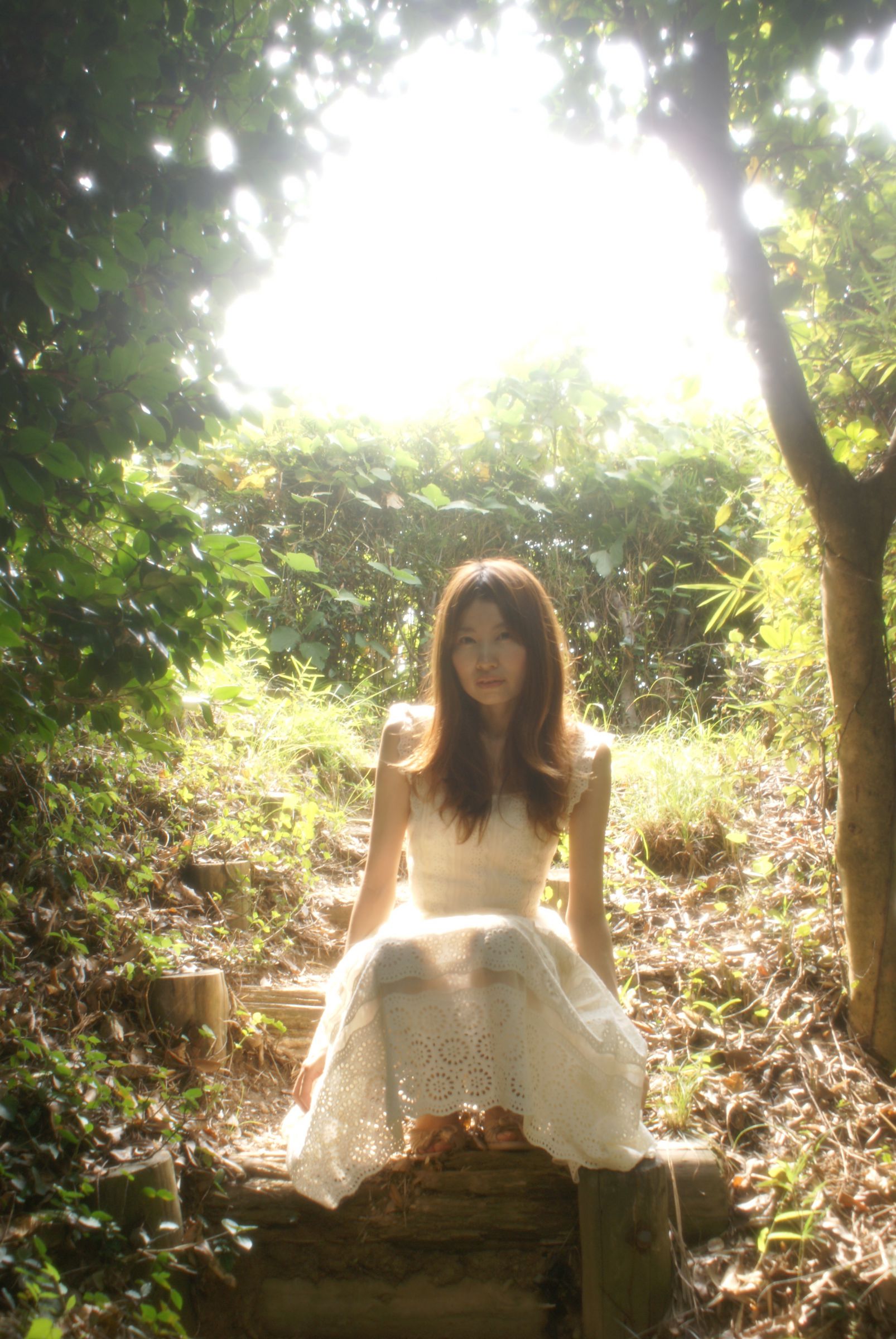 デビットハミルトン デビット・ハミルトンの世界 | GANREF