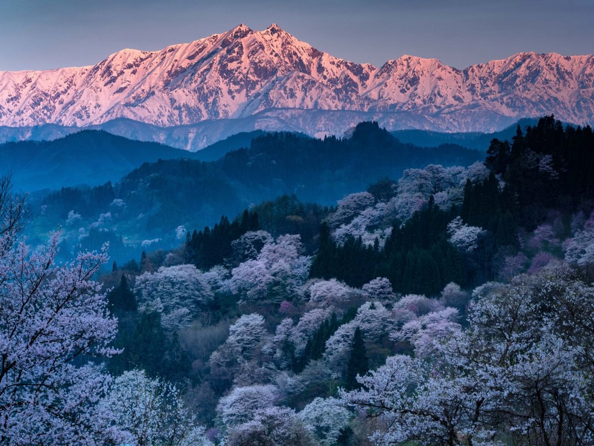 桜雲 自然 風景 山 Ganref