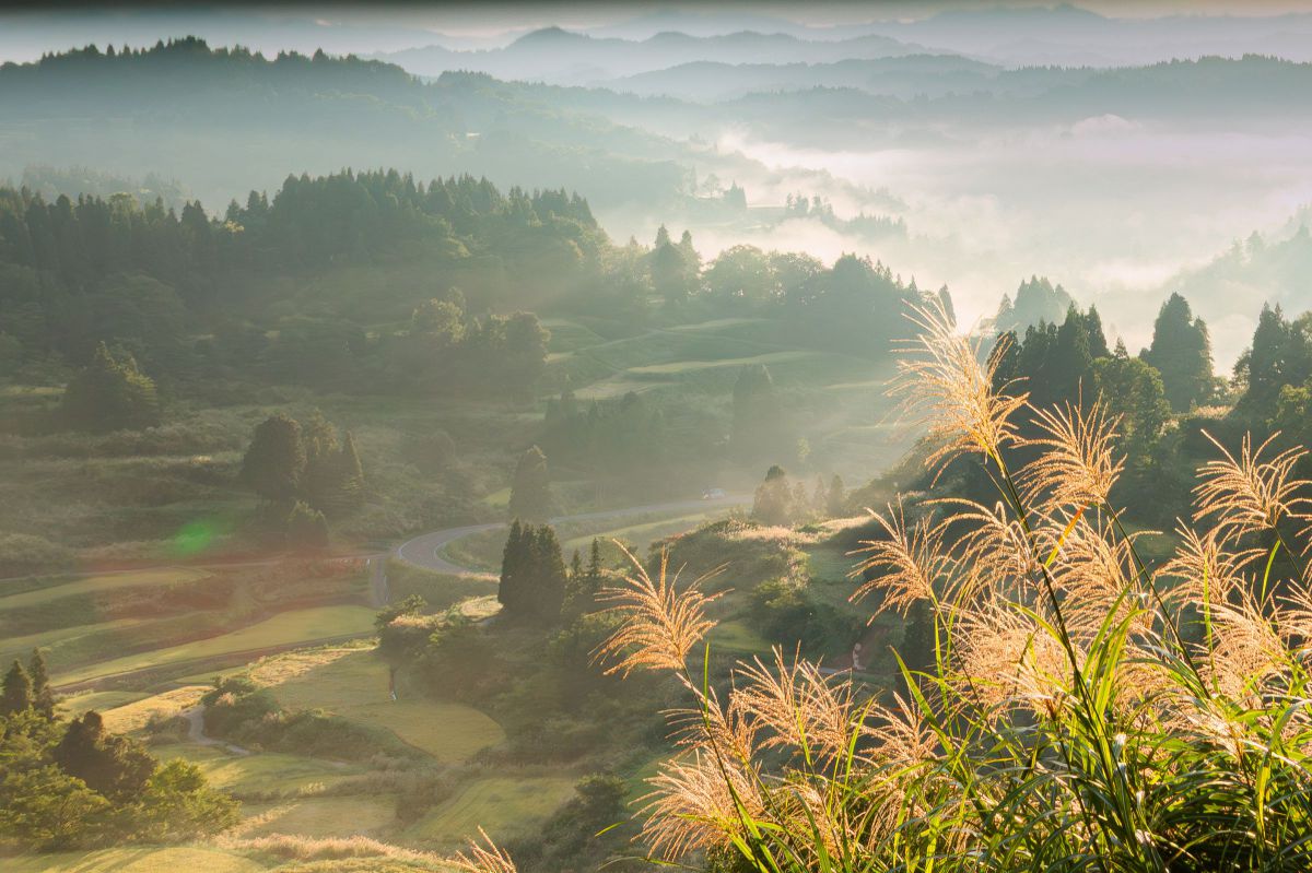 EOS Kiss X8iで撮影された写真 | 写真検索 | GANREF