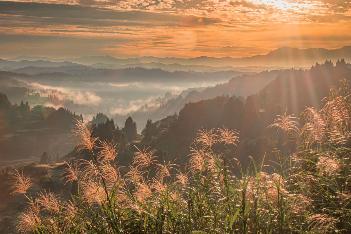 EOS Kiss X8iで撮影された写真 | 写真検索 | GANREF