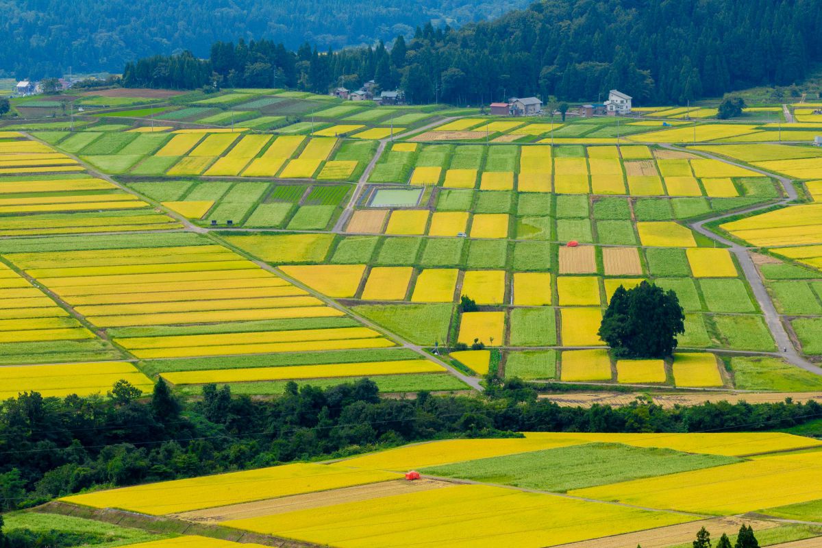 EOS Kiss X8iで撮影された写真 | 写真検索 | GANREF