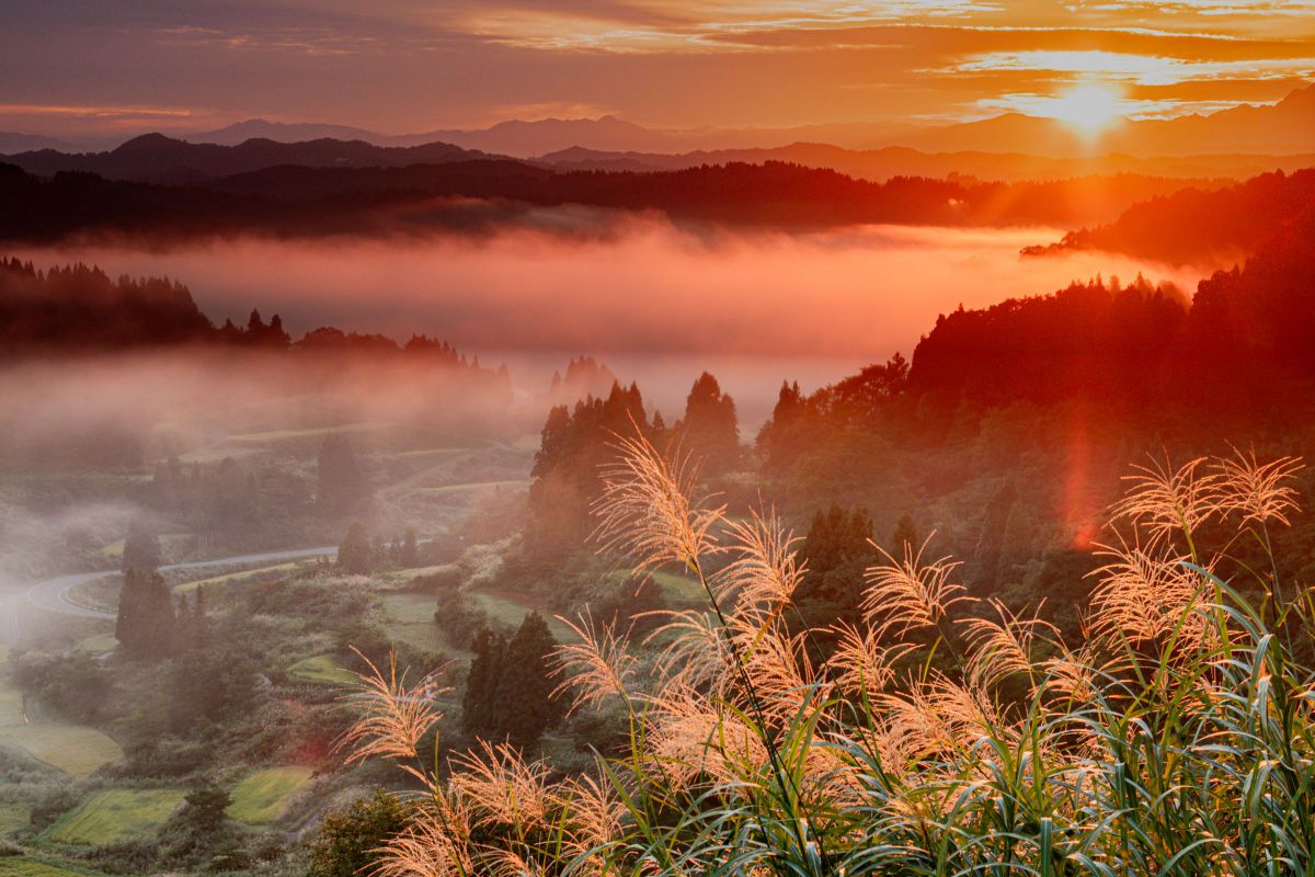 EOS Kiss X8iで撮影された写真 | 写真検索 | GANREF