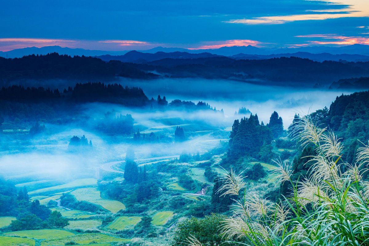 EOS Kiss X8iで撮影された写真 | 写真検索 | GANREF