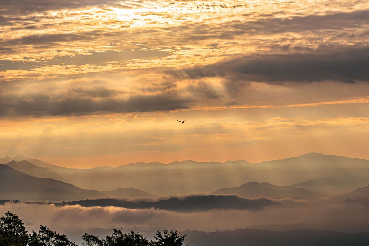 EOS Kiss X8iで撮影された写真 | 写真検索 | GANREF