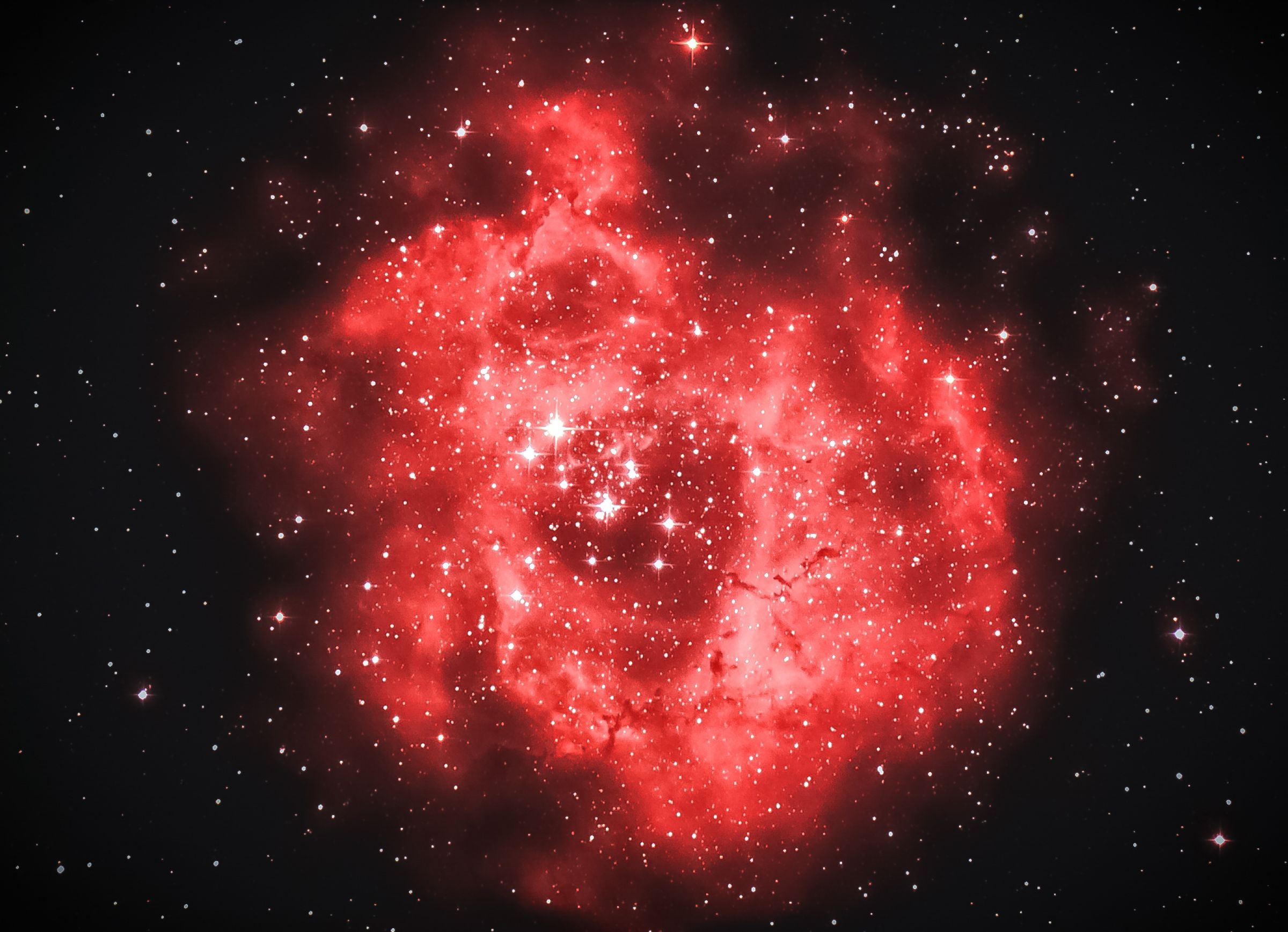 NGC2237-9 バラ星雲 | GANREF
