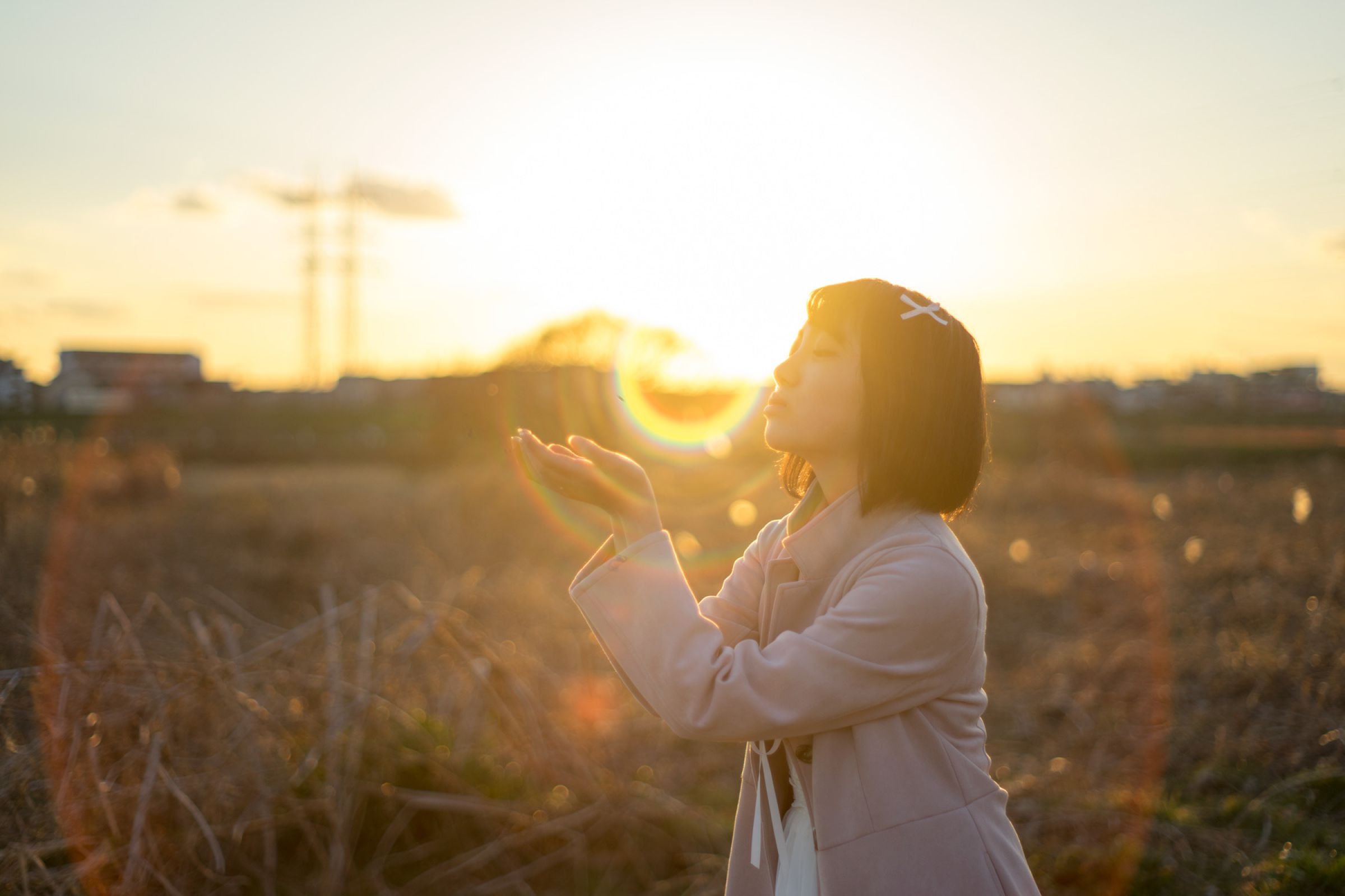 夕日にキス | GANREF