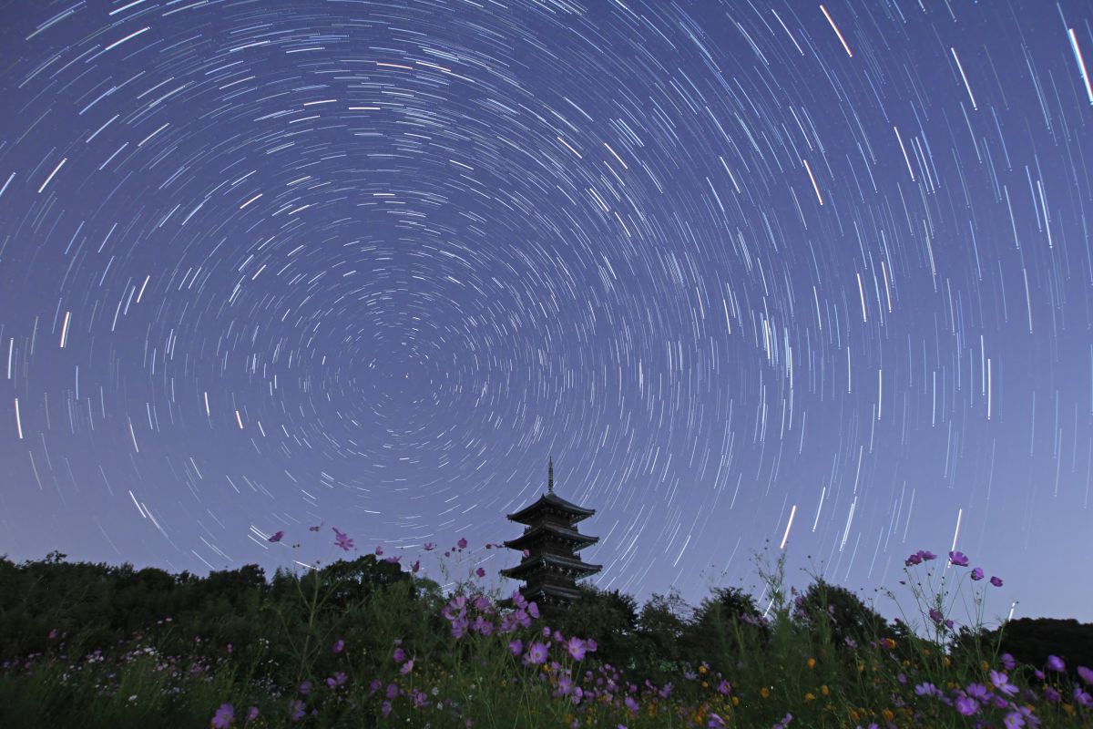 10-20mm F3.5 EX DC HSMで撮影された写真 | 写真検索 | GANREF