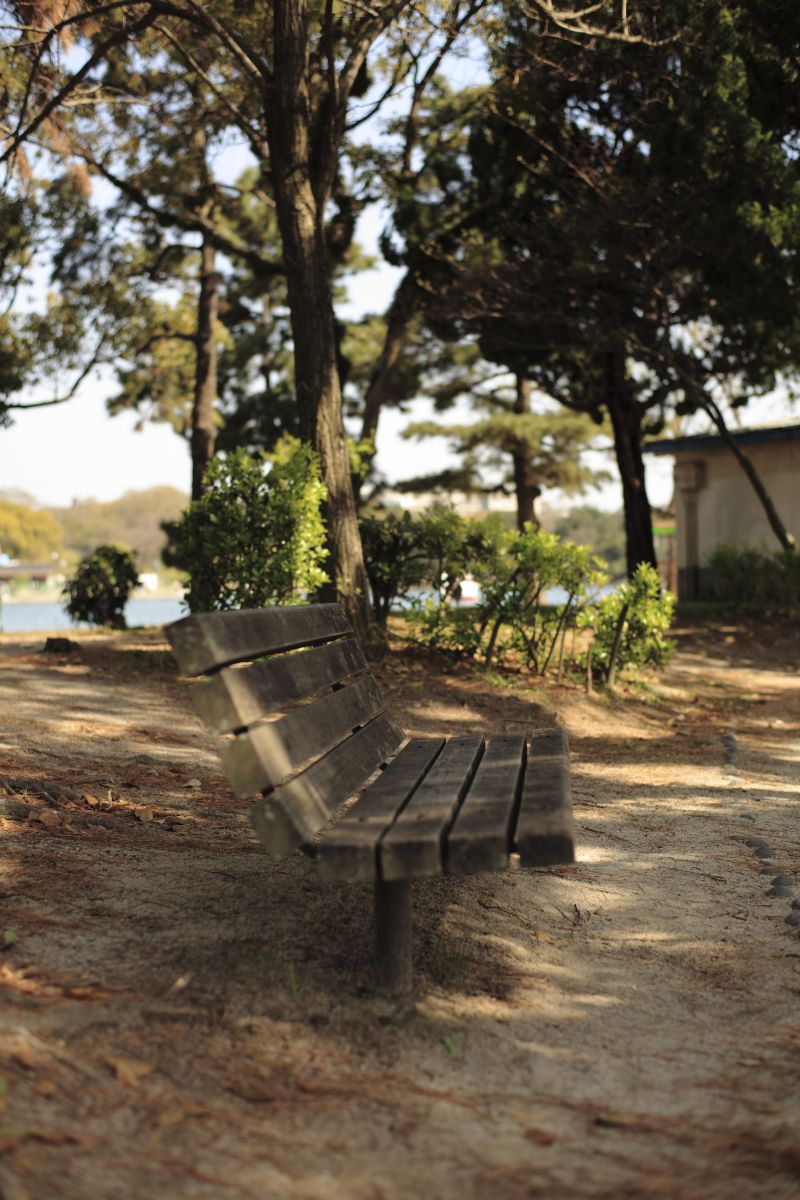木影のベンチ 街並み 建物 公園 Ganref