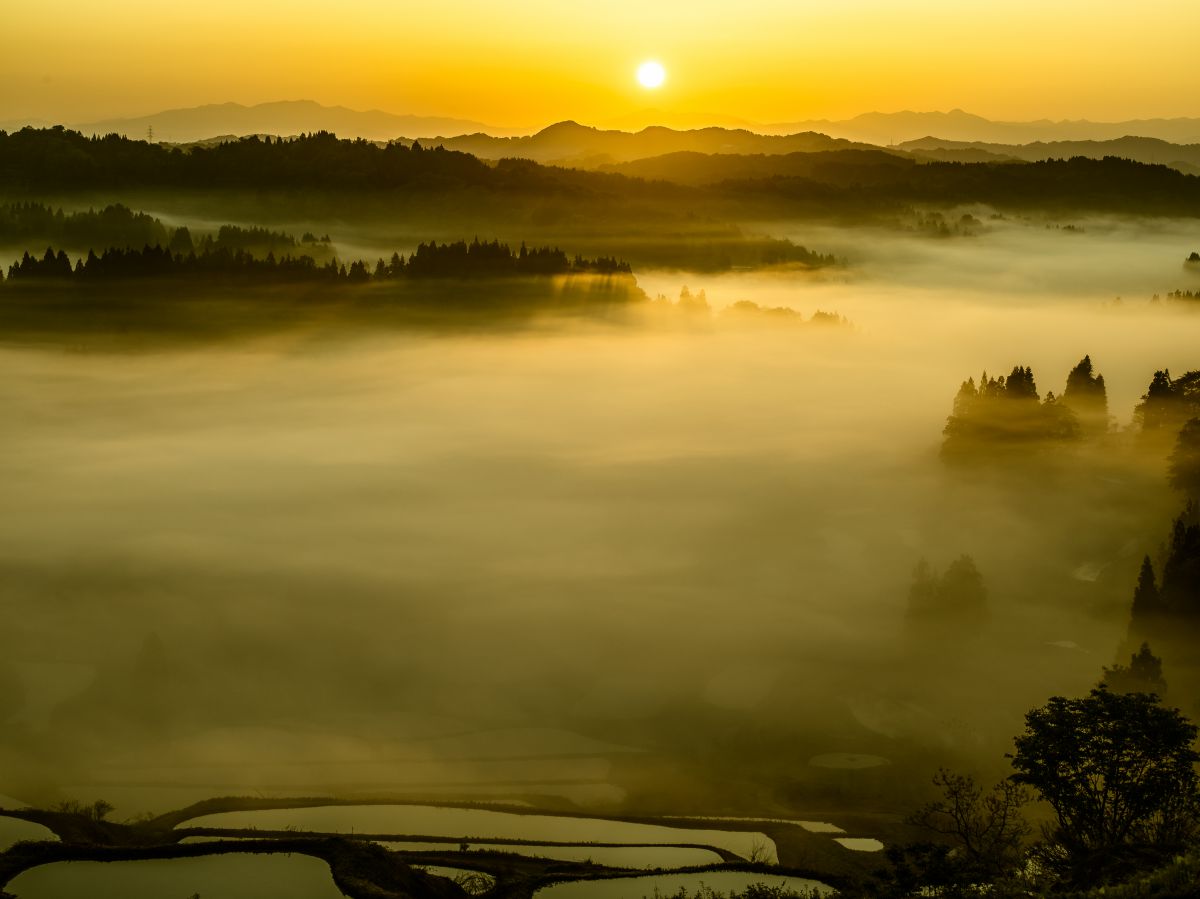 HD PENTAX-D FA645 MACRO 90mmF2.8ED AW SRで撮影された写真 | 写真  