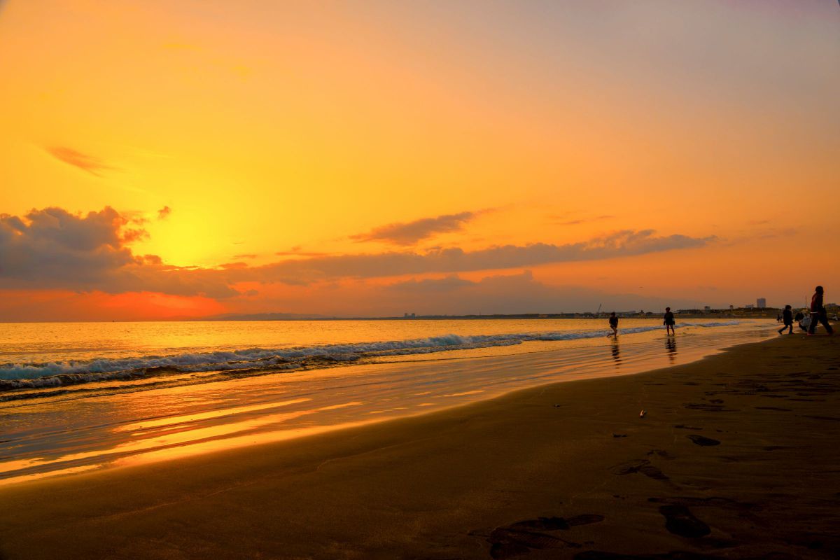 THE SUNSET | GANREF