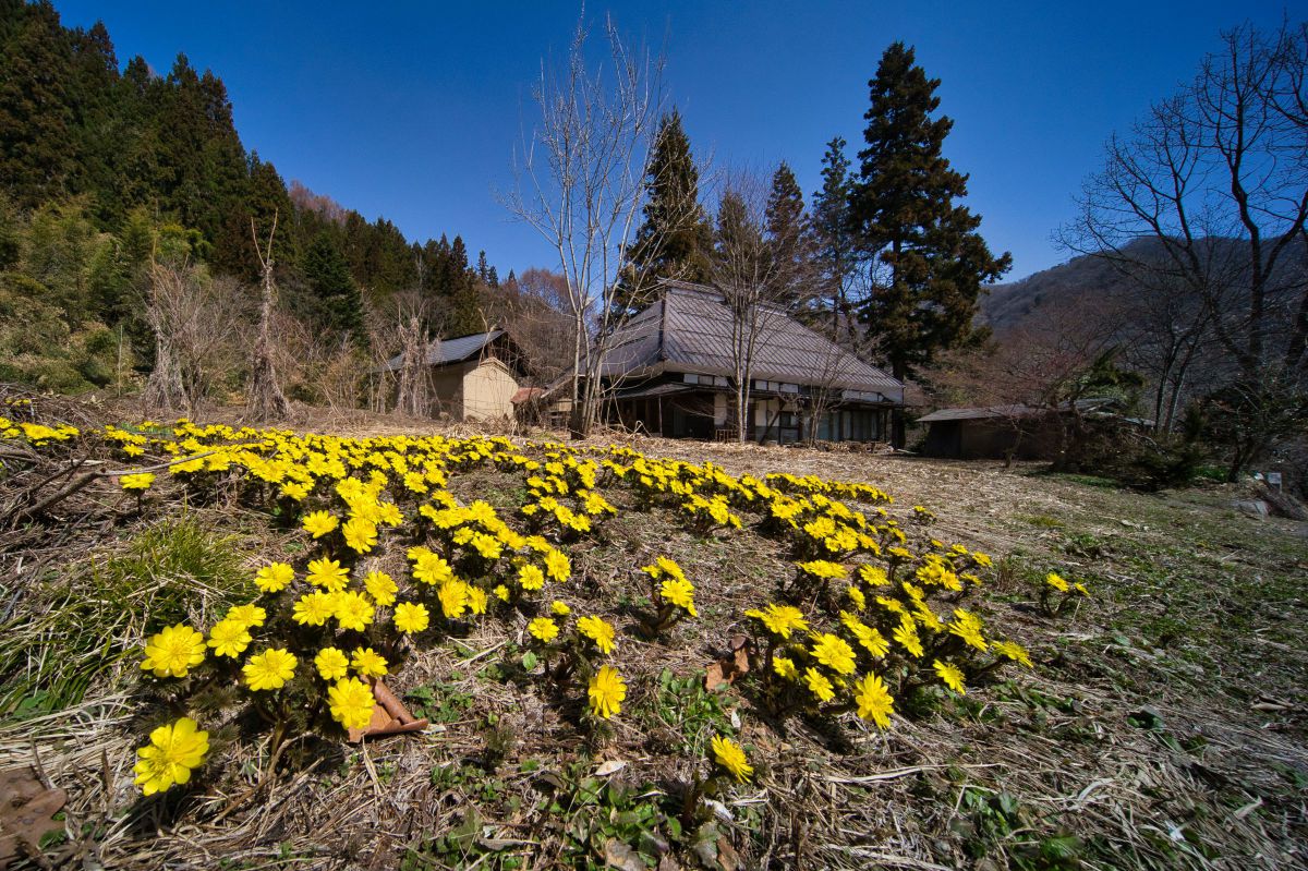 10-18mm F4.5-5.6 FE Zoomで撮影された写真 | 写真検索 | GANREF