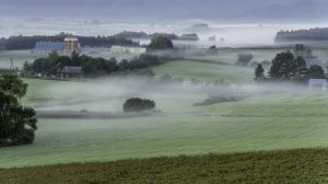 雨上がりの道 | GANREF