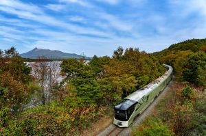 雨上がりの道 | GANREF