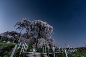 雨上がりの道 | GANREF