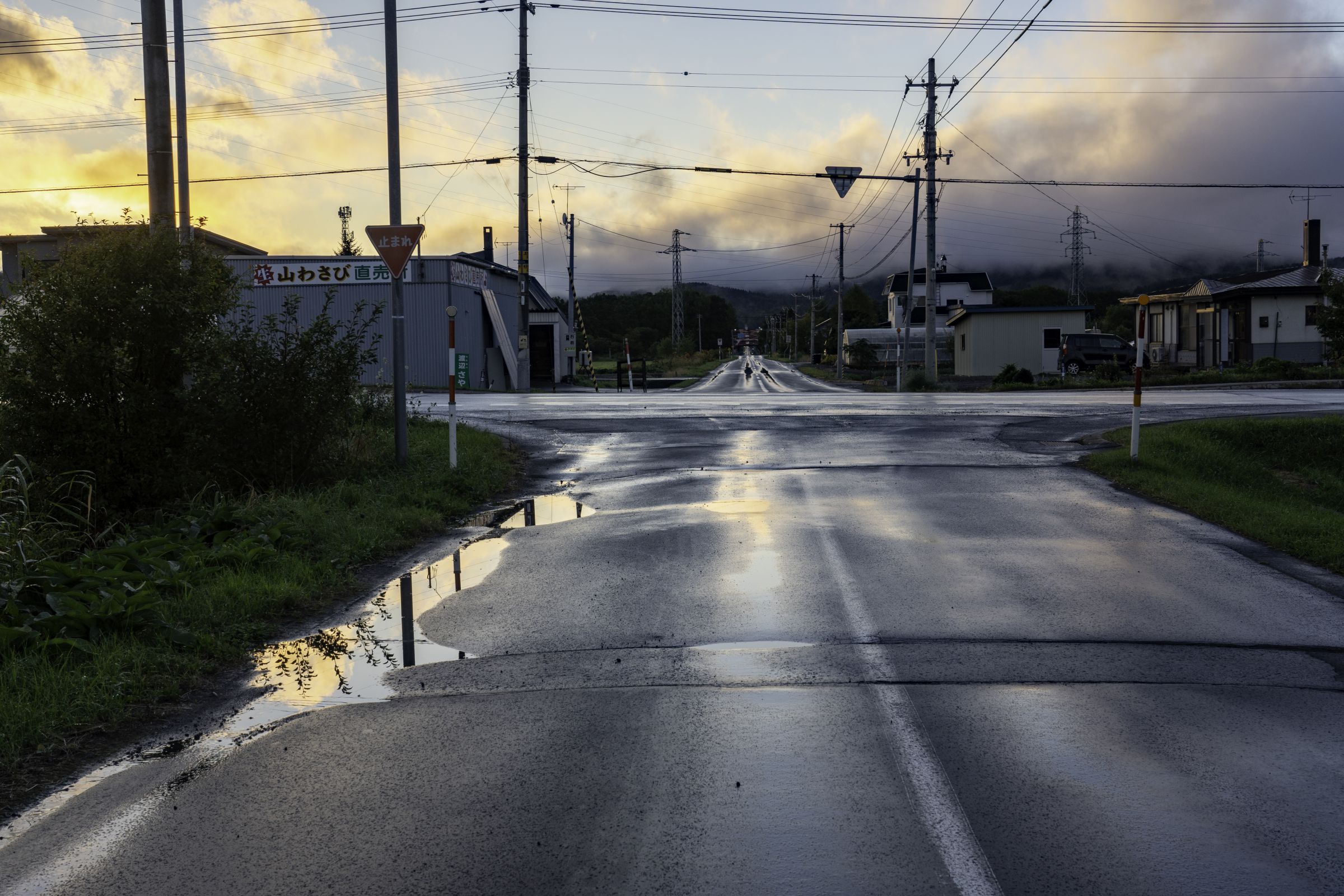 雨上がりの道 | GANREF