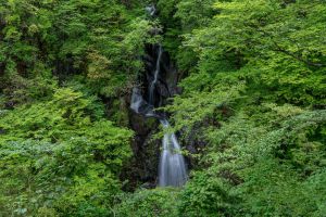 雨上がりの道 | GANREF