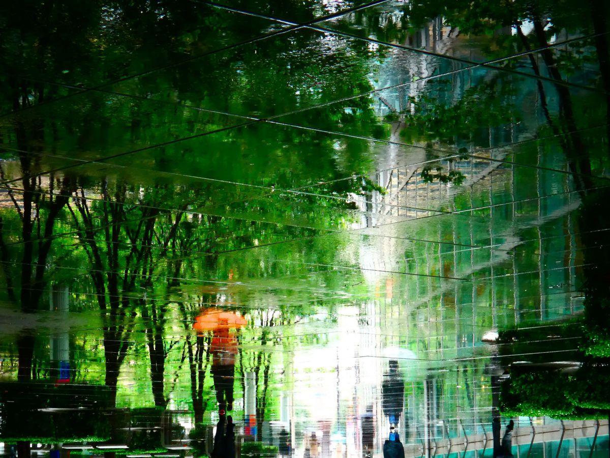 翠雨 | GANREF