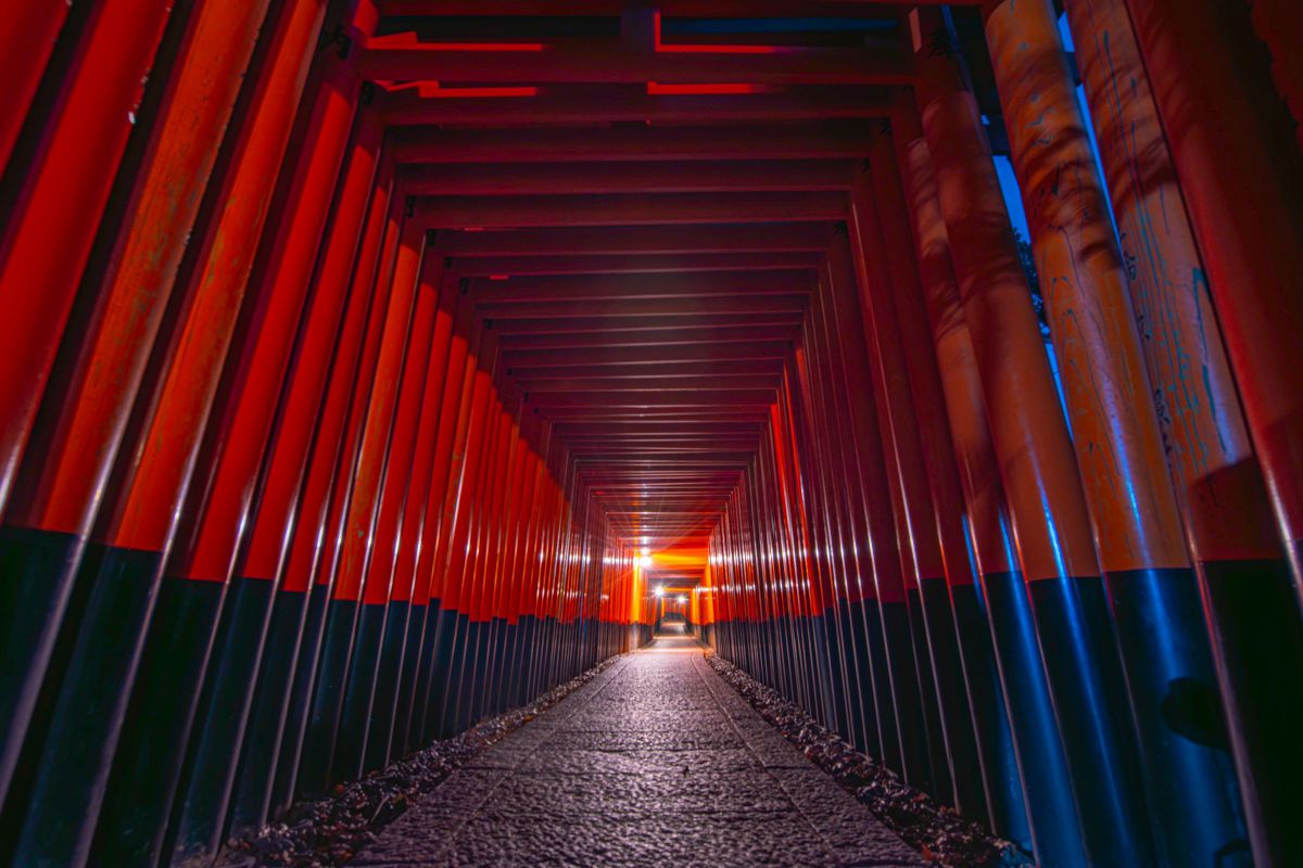 ★ LEICA D VARIO-ELMAR 14-50mm F3.8-5.6 新着写真 | GANREF