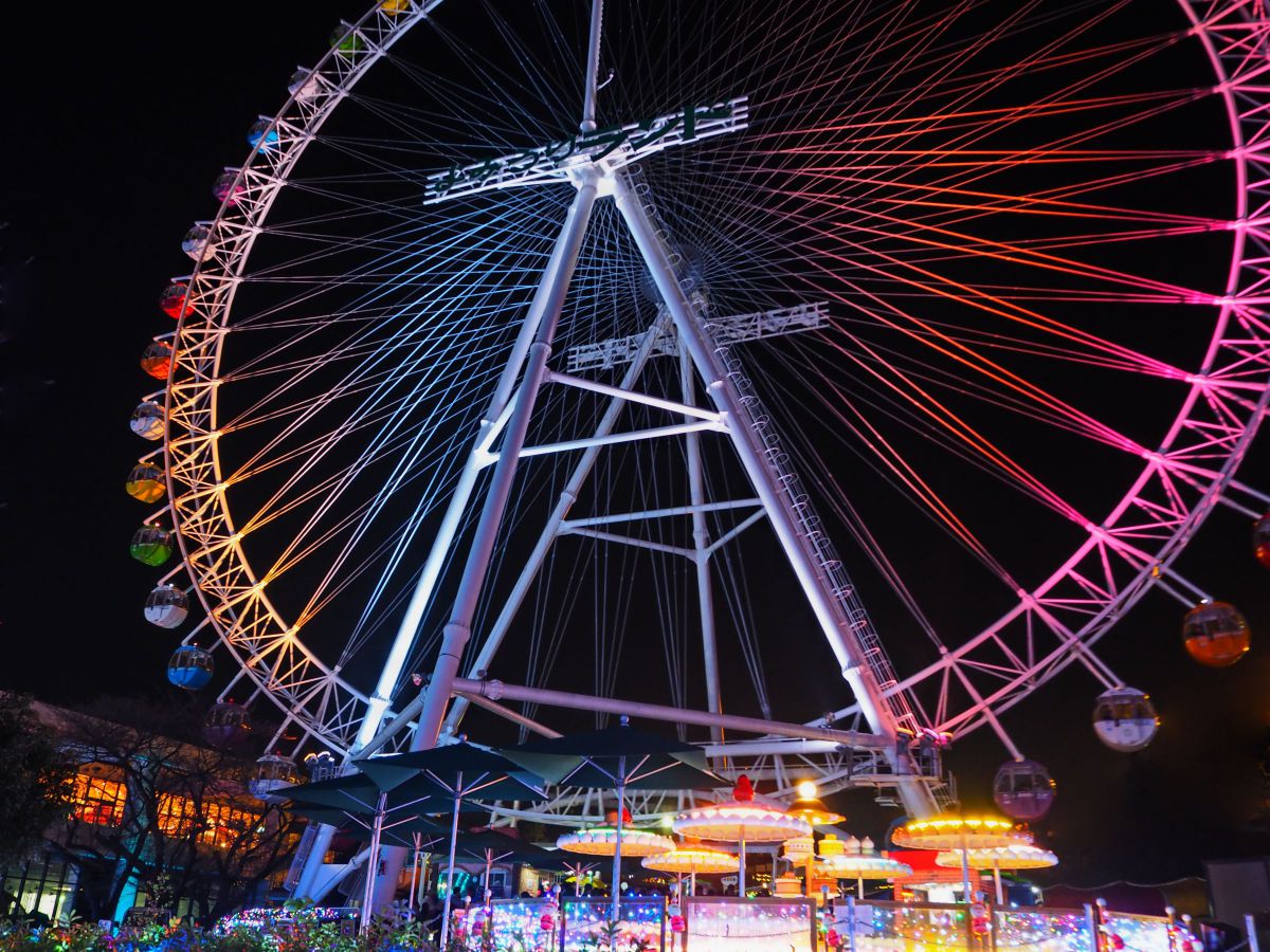 ショット数2002回✨Olympus E-510 発表会 野外撮影に❣️ Photo】オリンパスとの思い出とこれからの期待 | Wood-Roots:blog