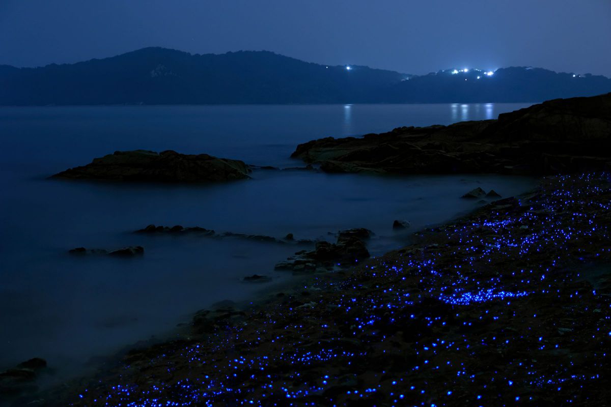 Night beach fantasy | GANREF