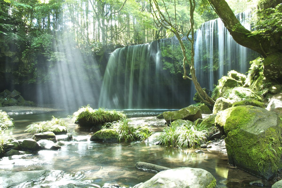 目の覚める景色 自然 風景 滝 Ganref