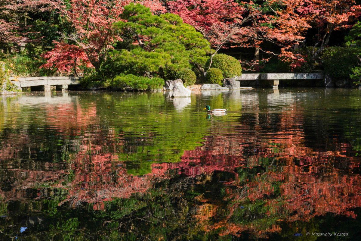 autumn color | GANREF