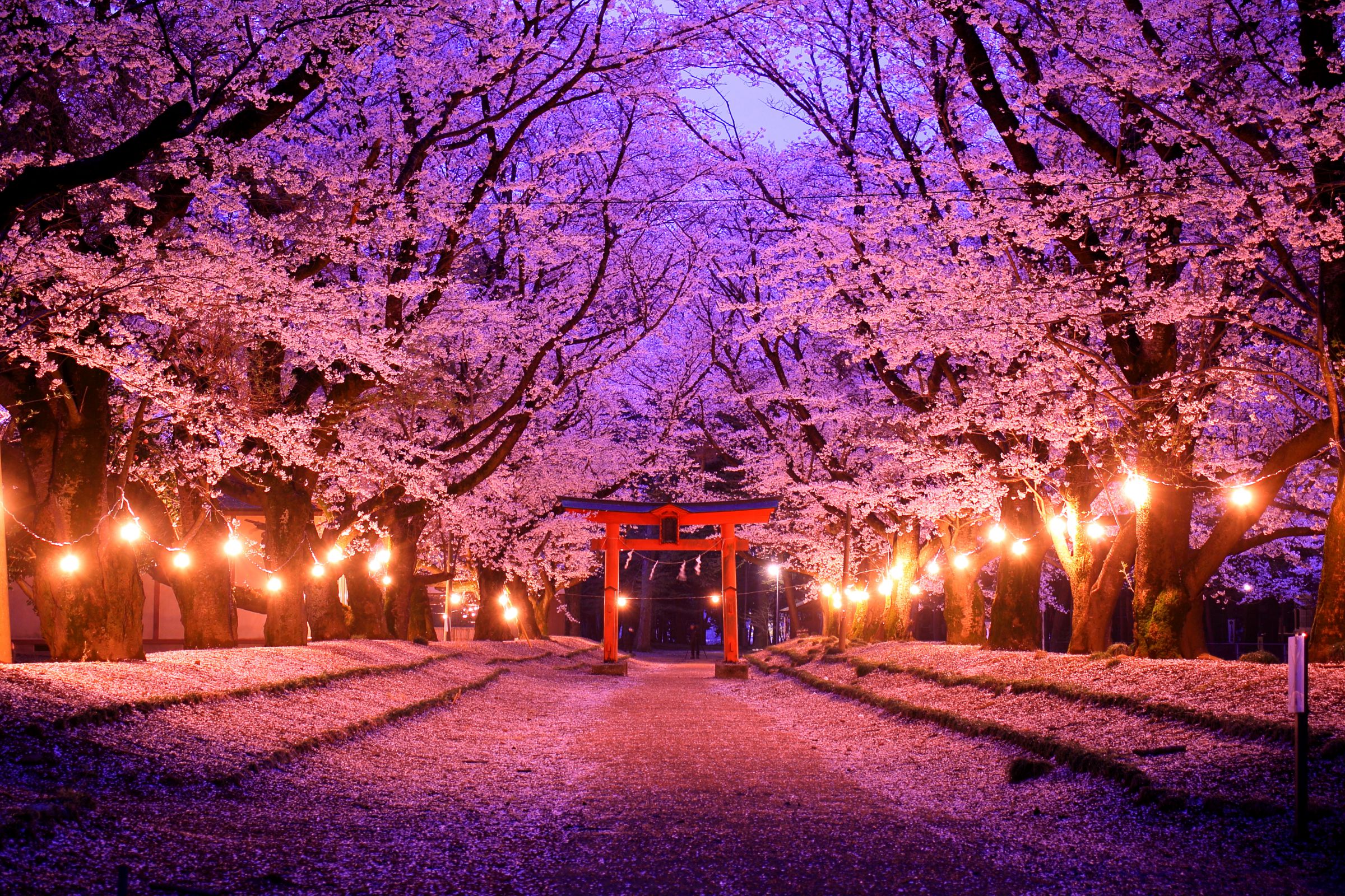 東 蕗田 天満 社
