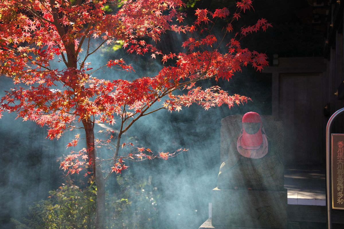 Canon EOS R6 Mark II 本体 紅葉撮影に✨ EOS R6 Mark IIで撮影された写真 | 写真検索 | GANREF