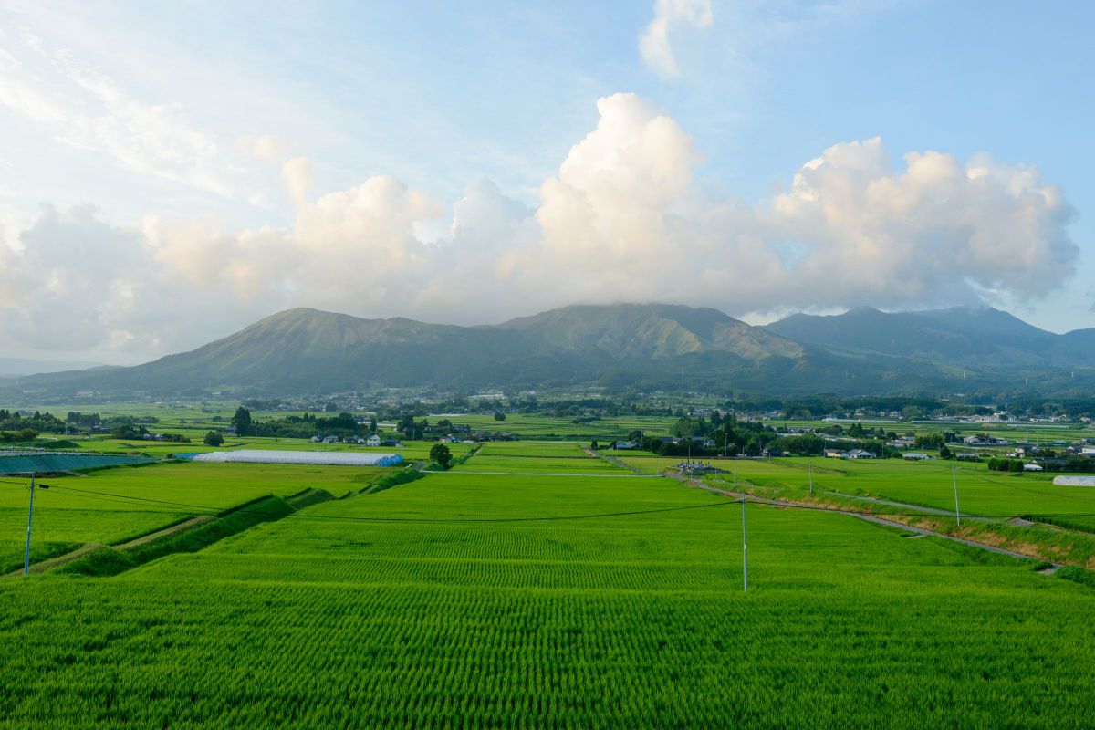 肥後のくに GANREF