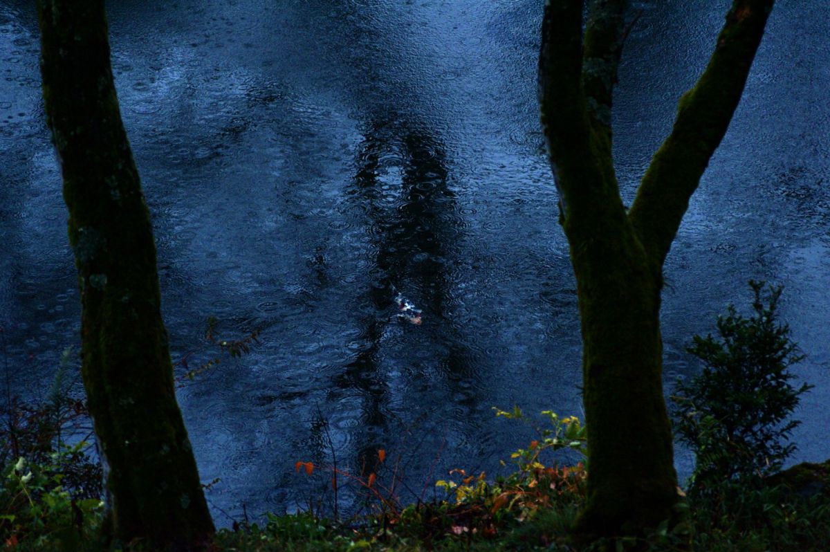 Ai AF Zoom-Nikkor 80-200mm f/2.8D ED ＜NEW＞で撮影された写真