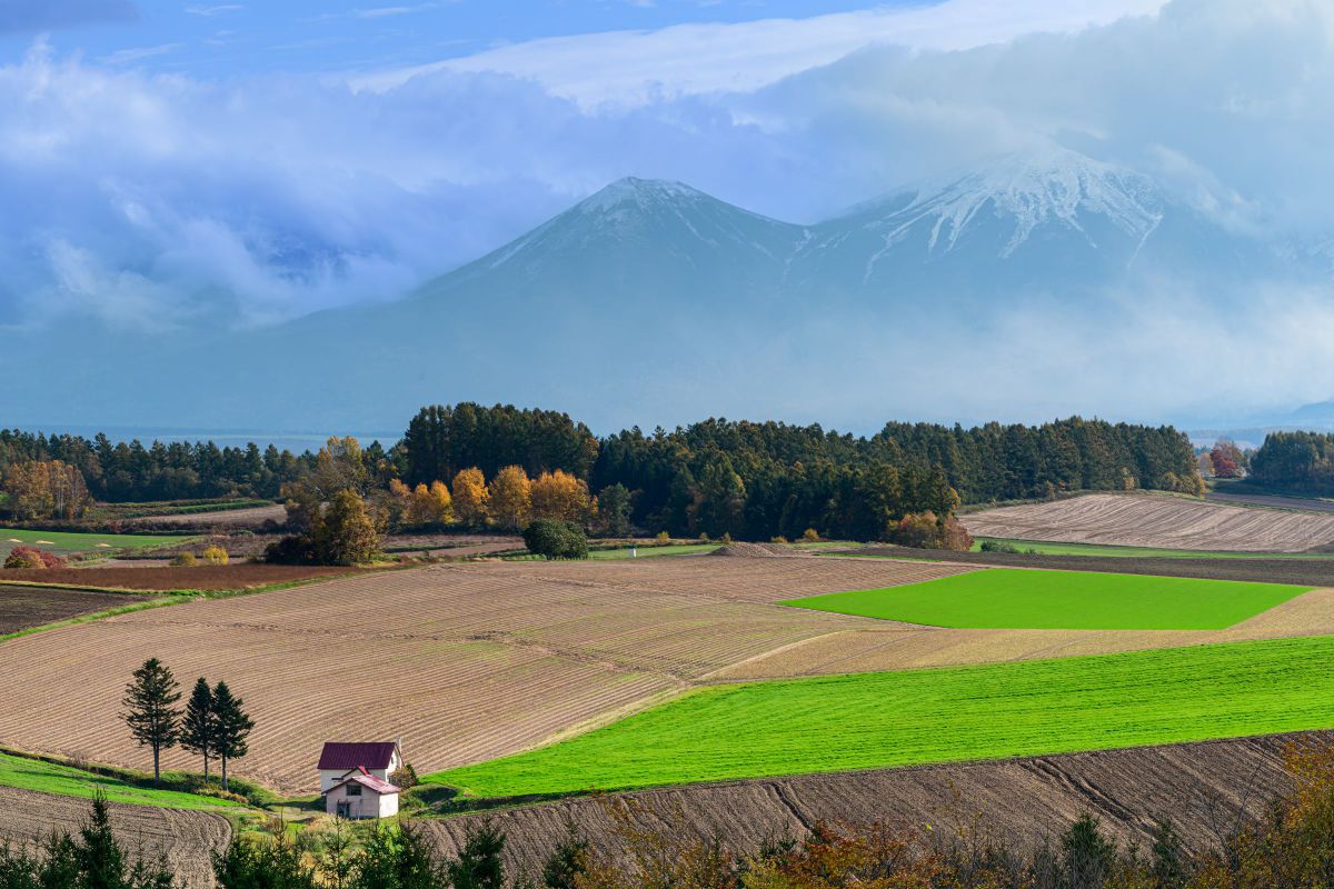 AF-S NIKKOR 80-400mm f/4.5-5.6G ED VRで撮影された写真 | 写真