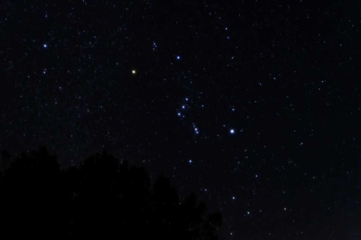 オリオン座 GANREF